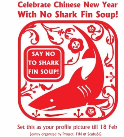 Chinese New Year -  No Shark Fin Soup